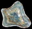 Carved, Blue Calcite Bowl - Argentina #63272-1